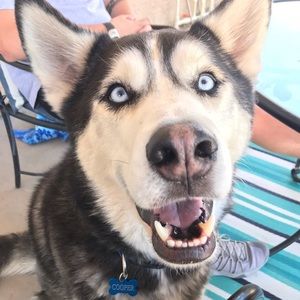 Meet your Posher, Briana